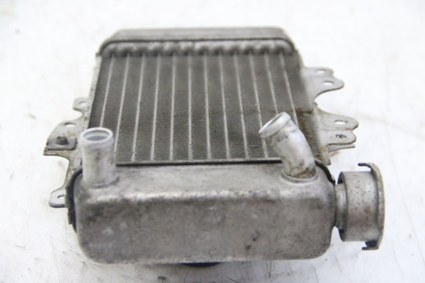 photo de RADIADOR HONDA PES PS I 125 (2006 - 2012) - Vista general del producto