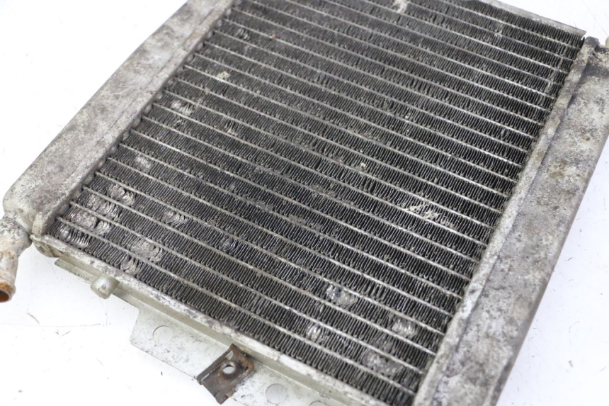 photo de RADIADOR  PIAGGIO X8 125 (2004 - 2007) - Detalle de la pieza