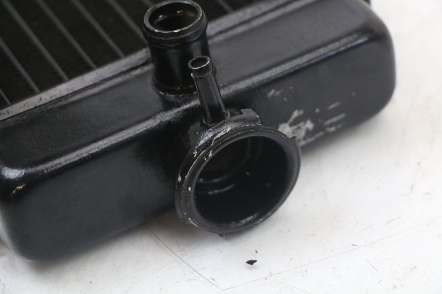 photo de RADIADOR  REGAL RAPTOR SPYDER 125 (2010 - 2018) - Vista general del producto