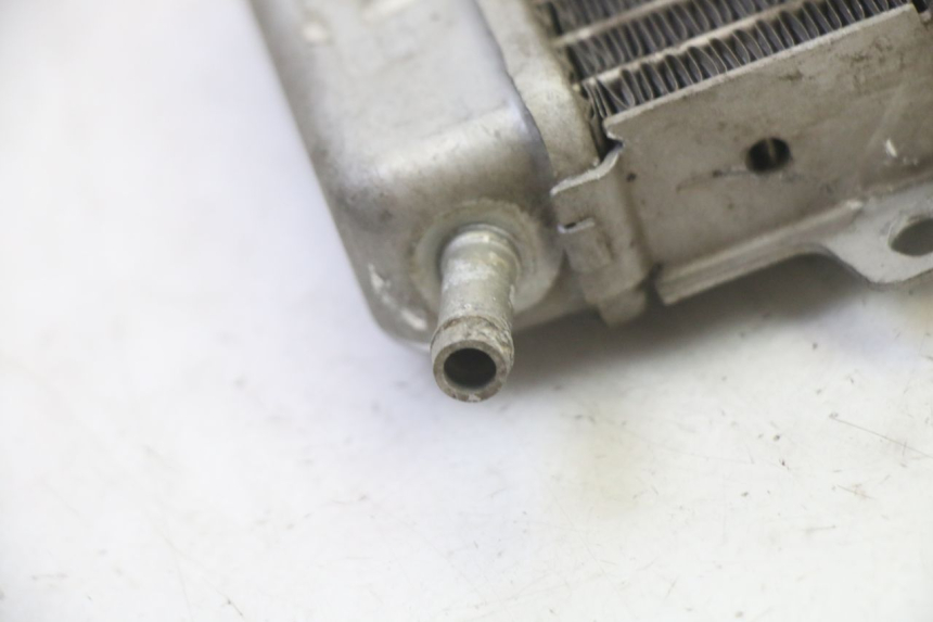 photo de RADIADOR GILERA RUNNER SP 50 (2009 - 2017) - Vista general del producto