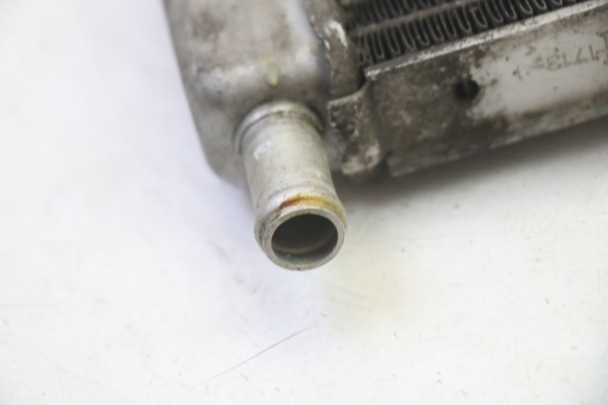 photo de RADIADOR GILERA RUNNER SP 50 (2009 - 2017) - Recambio usado revisado