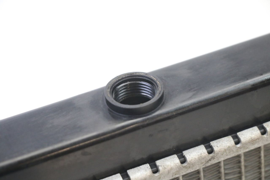 photo de RADIADOR  PEUGEOT SATELIS 125 (2013 - 2018) - Estado de la superficie y material