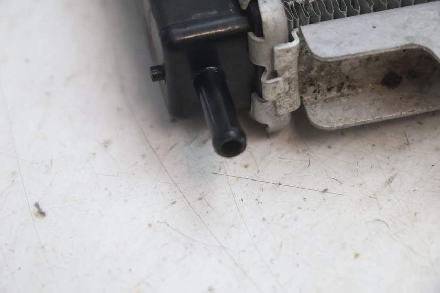 photo de RADIADOR  PEUGEOT SATELIS 125 (2013 - 2018) - Características distintivas