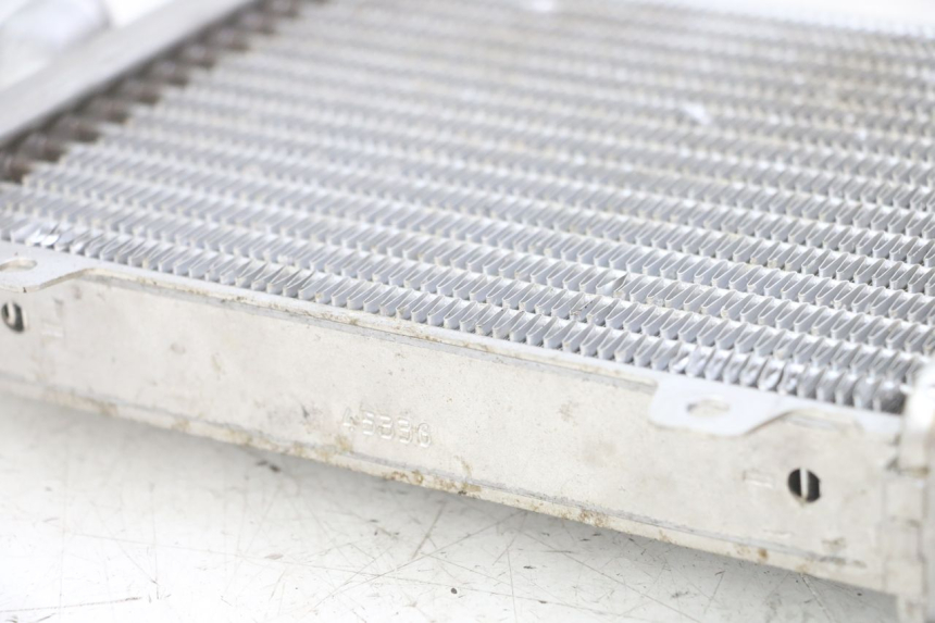 photo de RADIADOR  PEUGEOT SPEEDFIGHT 2 LC 50 (2000 - 2009) - Zoom estado de uso