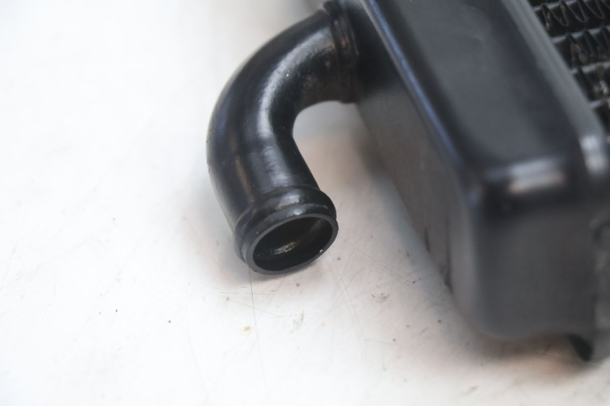 photo de RADIADOR PEUGEOT SPEEDFIGHT LC 50 (1996 - 2002) - Primer plano técnico