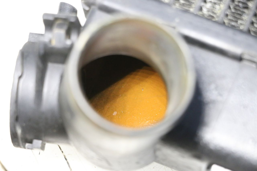 photo de RADIADOR  TRIUMPH SPRINT 900 (1995 - 1998) - Zoom estado de uso