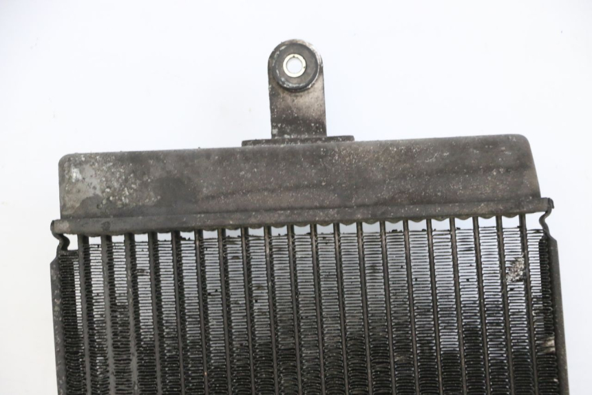 photo de RADIADOR  SUZUKI BURGMAN 125 (2015 - 2017) - Marcados y referencias originales