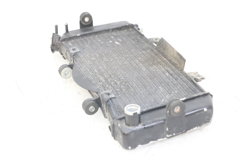 photo de RADIADOR YAMAHA TDM ABS 900 (2002 - 2014) - Vista general del producto