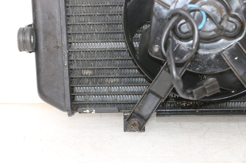 photo de RADIADOR  YAMAHA TDM ABS 900 (2002 - 2014) - Zoom sobre los componentes