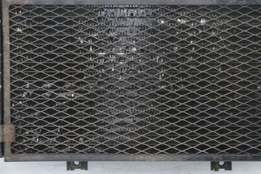 photo de RADIADOR  YAMAHA TDM ABS 900 (2002 - 2014) - Zoom sobre los componentes