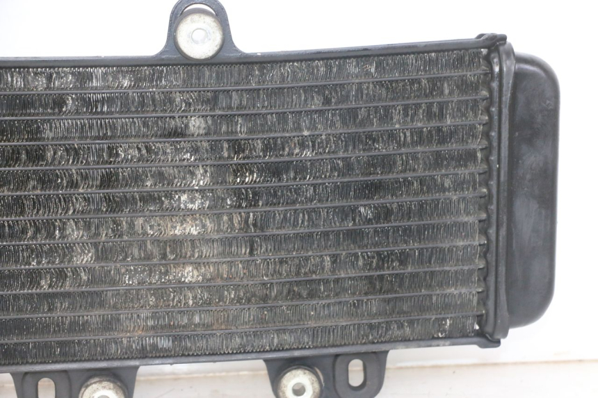 photo de RADIADOR YAMAHA TDR DELTABOX 125 (1997 - 2003) - Primer plano técnico