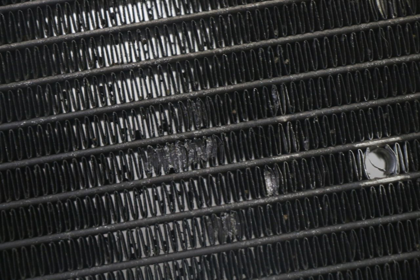 photo de RADIADOR YAMAHA X-MAX XMAX 125 (2010 - 2013) - Zoom estado de uso