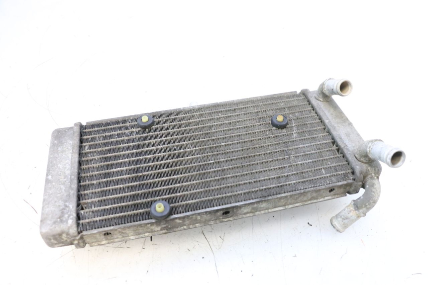 photo de RADIADOR YAMAHA X-MAX XMAX 125 (2010 - 2013) - Zoom estado de uso