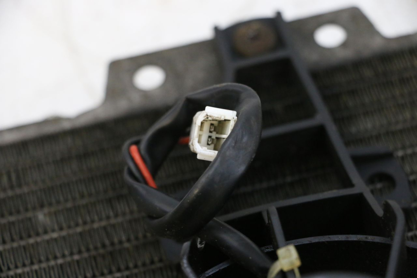 photo de RADIADOR  PIAGGIO X8 125 (2004 - 2007) - Detalle de la pieza