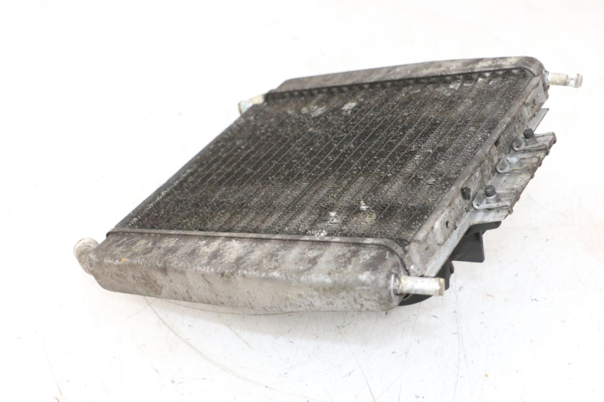 photo de RADIADOR  PIAGGIO X8 125 (2004 - 2007) - Vista general del producto