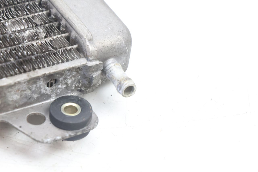 photo de RADIADOR  PIAGGIO X9 AMALFI 180 (2000 - 2003) - Características distintivas