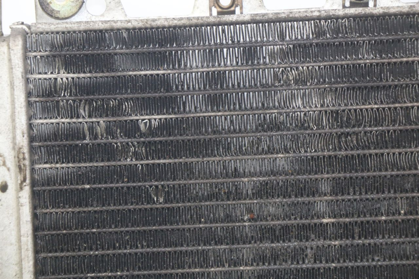 photo de RADIADOR PIAGGIO X9 EVOLUTION 250 (2003 - 2007) - Características distintivas