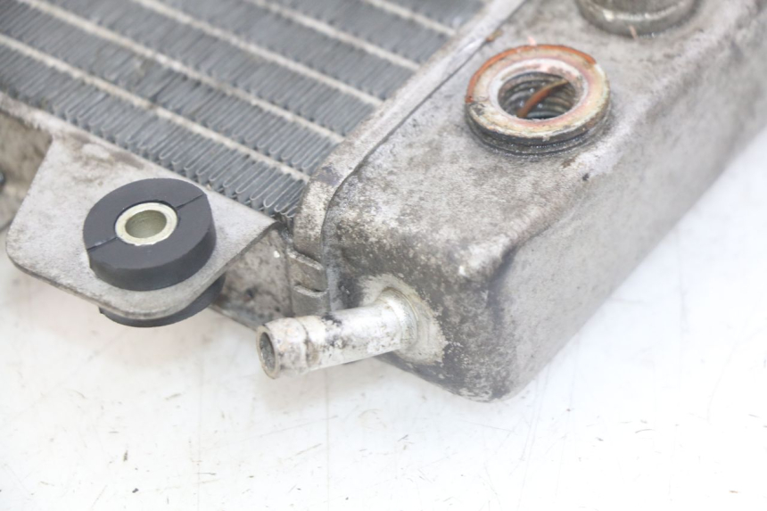 photo de RADIADOR PIAGGIO X9 EVOLUTION 250 (2003 - 2007) - Vista general del producto