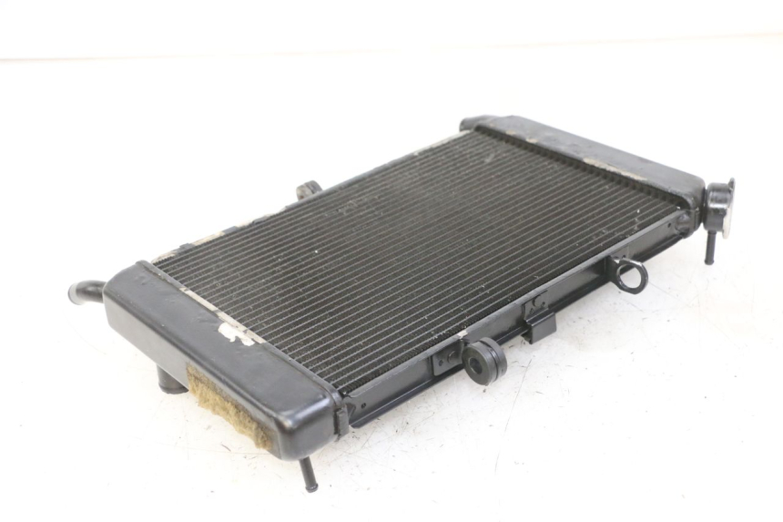 photo de RADIADOR  YAMAHA XJ6 ABS 600 (2008 - 2016) - Zoom estado de uso