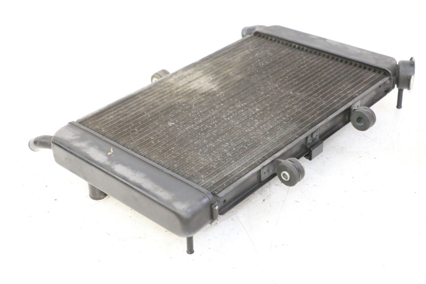 photo de RADIADOR  YAMAHA XJ6 ABS 600 (2008 - 2016) - Vista general del producto