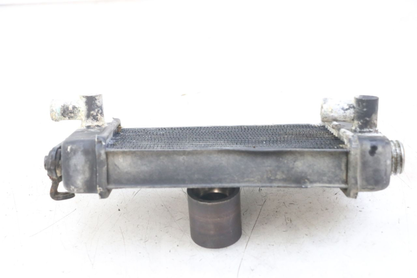 photo de RADIADOR PEUGEOT XP6 50 (1997 - 2003) - Zoom estado de uso