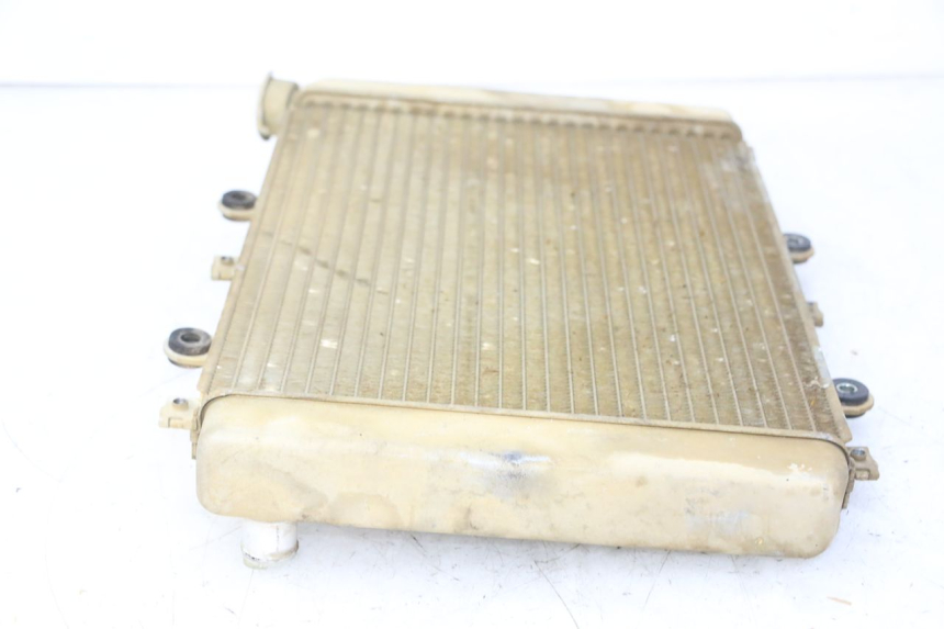 photo de RADIADOR  YAMAHA YFM GRIZZLY 550 (2008 - 2015) - Primer plano técnico