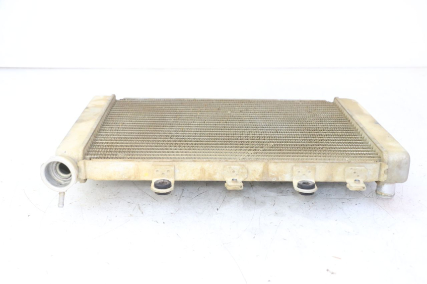 photo de RADIADOR  YAMAHA YFM GRIZZLY 550 (2008 - 2015) - Vista general del producto