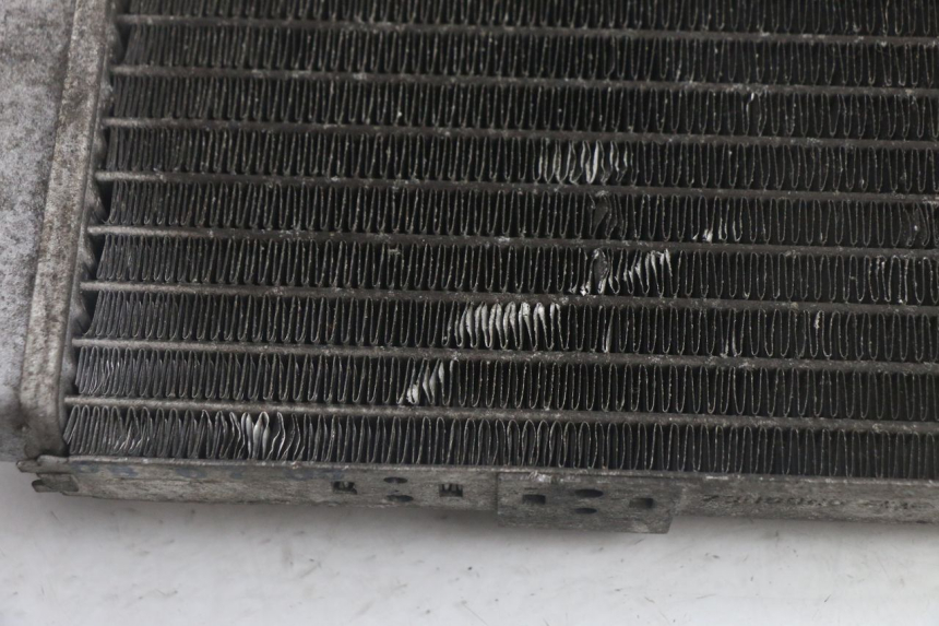 photo de RADIADOR YAMAHA YP MAJESTY 125 (1998 - 2001) - Detalle de la pieza