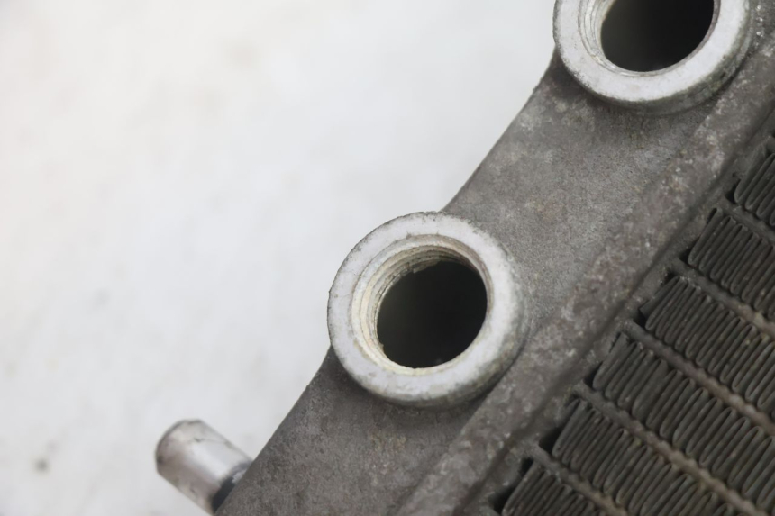 photo de RADIADOR YAMAHA YP MAJESTY 125 (2002 - 2006) - Zoom estado de uso
