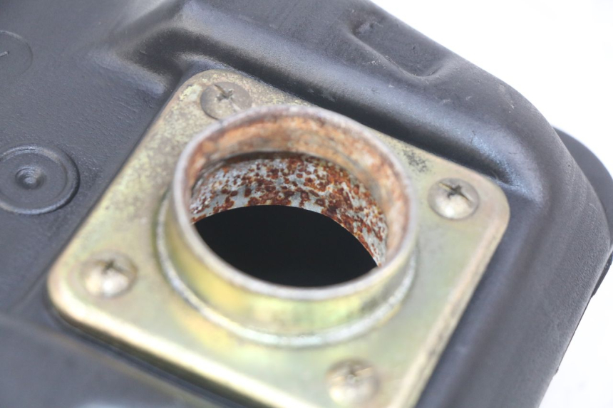 photo de DEPOSITO FUEL PGO BIG MAX 50 (2001 - 2009) - Vista general del producto