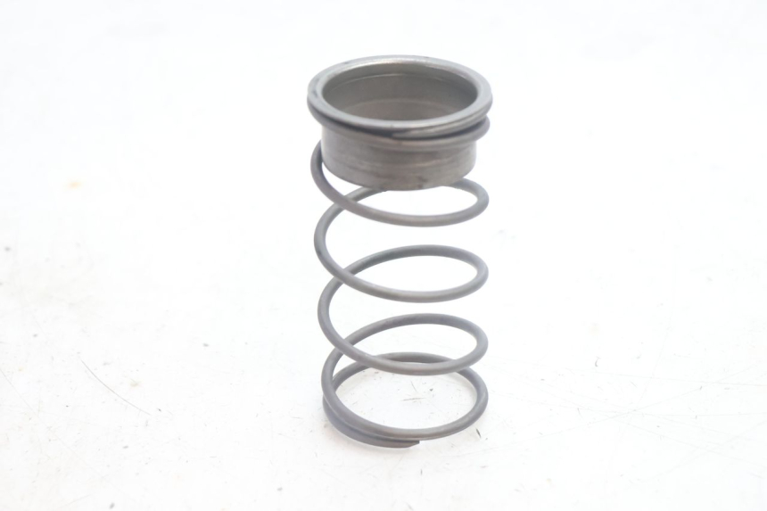 photo de EMBRAGUE MUELLE PIAGGIO LIBERTY 50 (1998 - 2003) - Vista principal