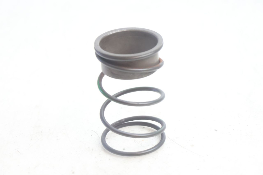photo de EMBRAGUE MUELLE PEUGEOT LUDIX PRO 2T 50 (2010 - 2017) - Vista principal