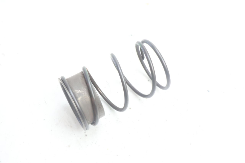 photo de EMBRAGUE MUELLE PEUGEOT LUDIX PRO 2T 50 (2010 - 2017) - Zoom estado de uso