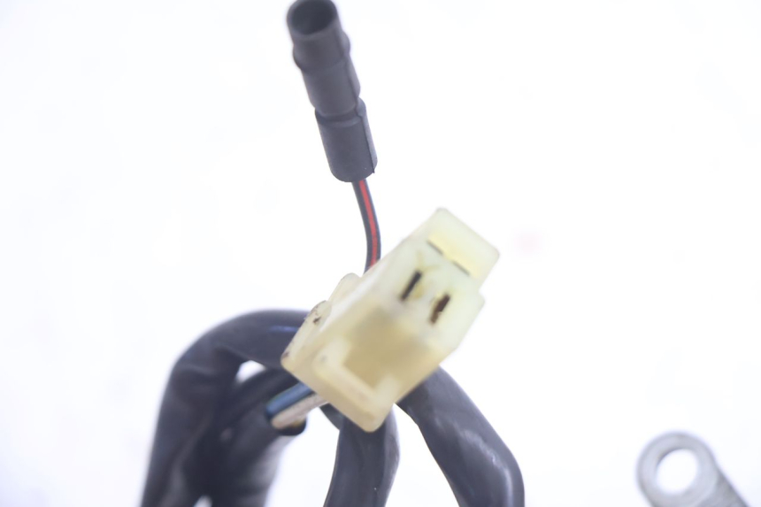 photo de ESTATOR PEUGEOT BUXY 50 (1993 - 1998) - Características distintivas