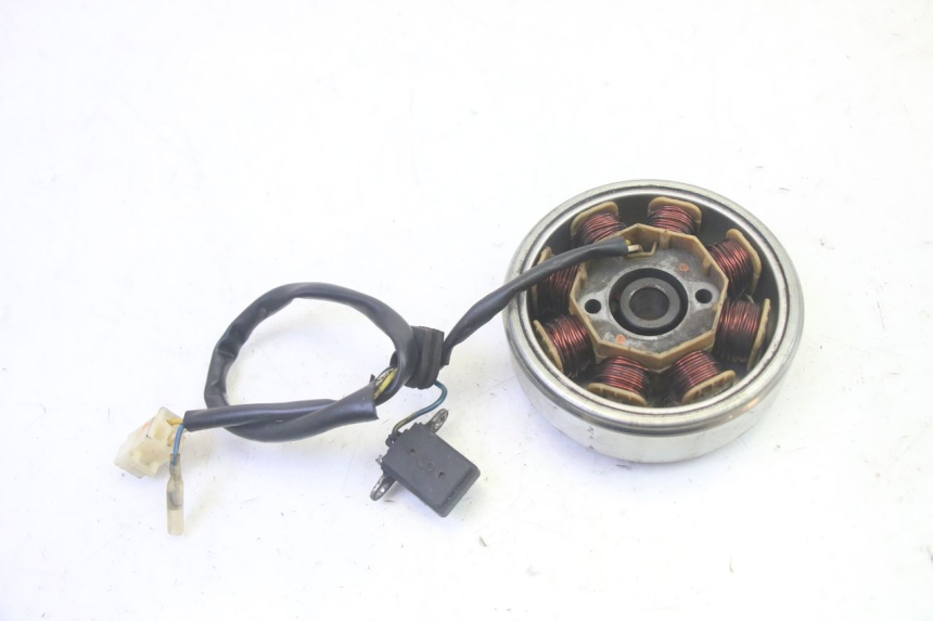 photo de ESTATOR LONGJIA DIGITA 4T 50 (2019 - 2022) - Otra perspectiva