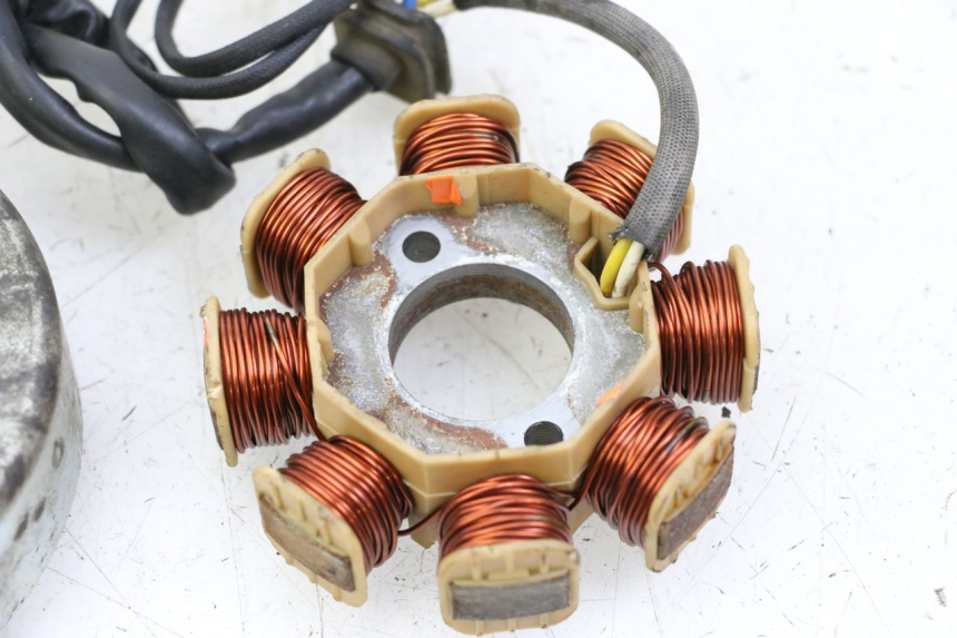 photo de ROTOR ESTATOR JM MOTORS EVOLIS 4T 50 (2018 - 2022) - Características distintivas