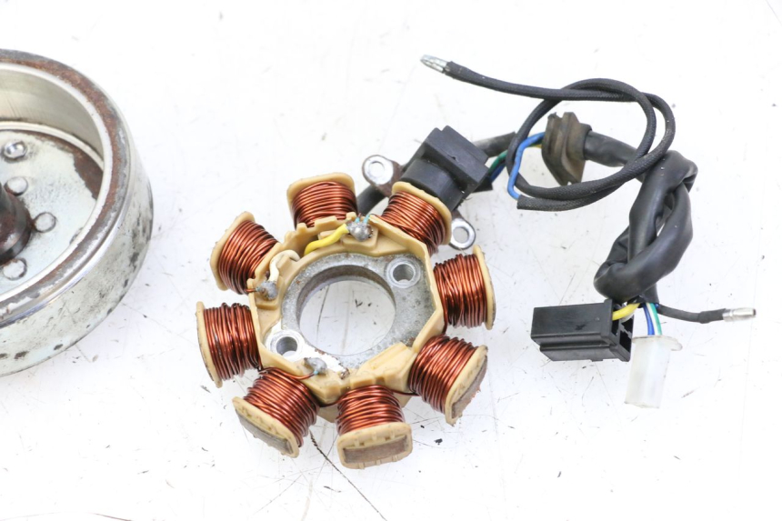 photo de ROTOR ESTATOR JM MOTORS EVOLIS 4T 50 (2018 - 2022) - Zoom estado de uso