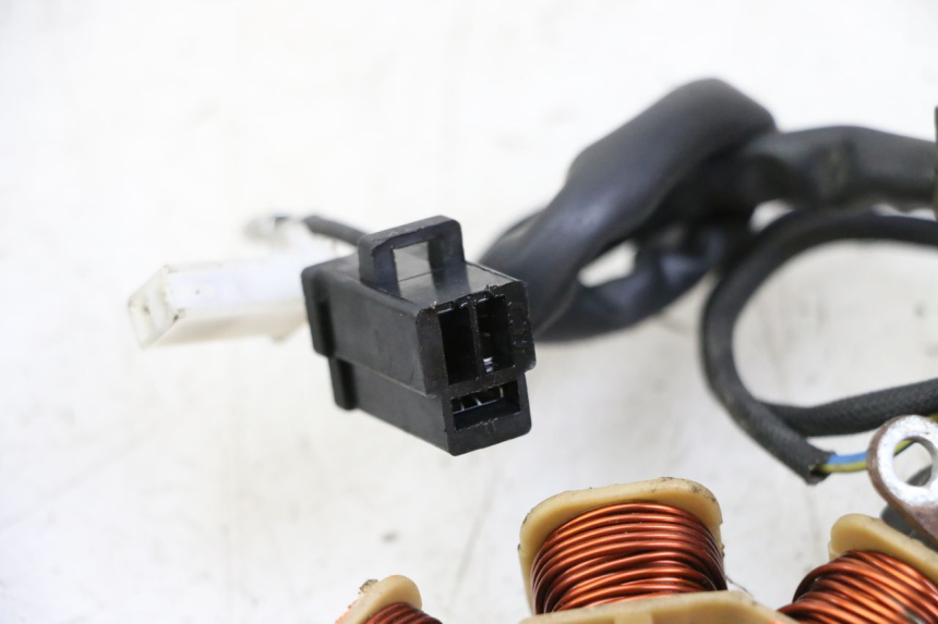 photo de ROTOR ESTATOR JM MOTORS EVOLIS 4T 50 (2018 - 2022) - Vista general del producto