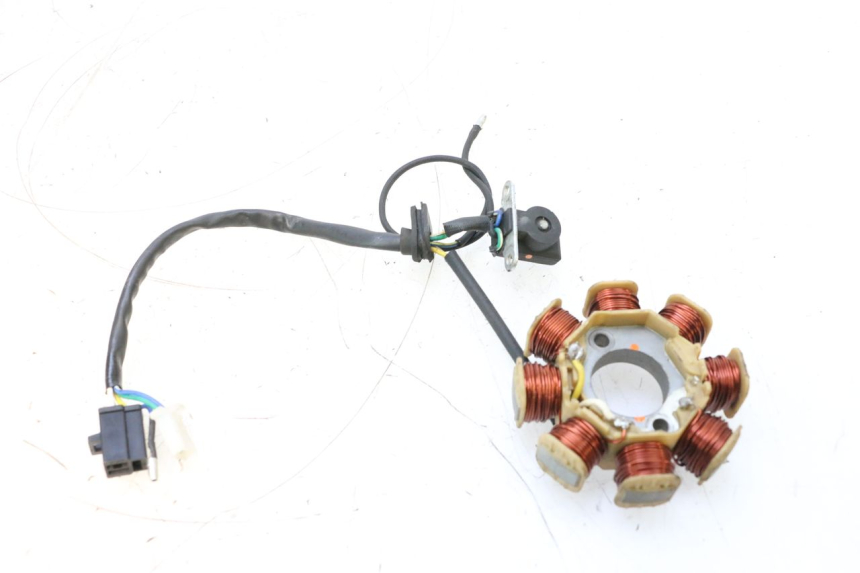 photo de ROTOR ESTATOR JM MOTORS EVOLIS 4T 50 (2018 - 2022) - Primer plano técnico
