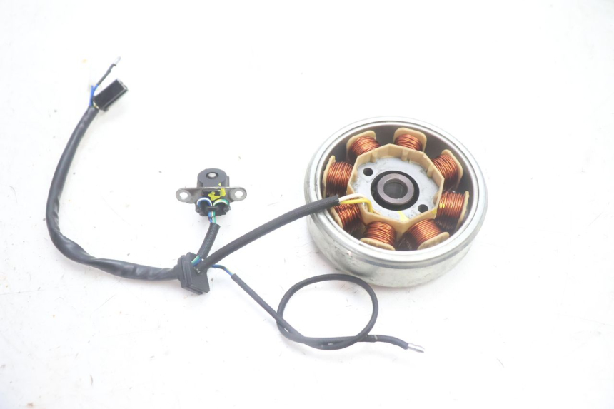 photo de ROTOR ESTATOR JM MOTORS EVOLIS 4T 50 (2018 - 2022) - Zoom estado de uso