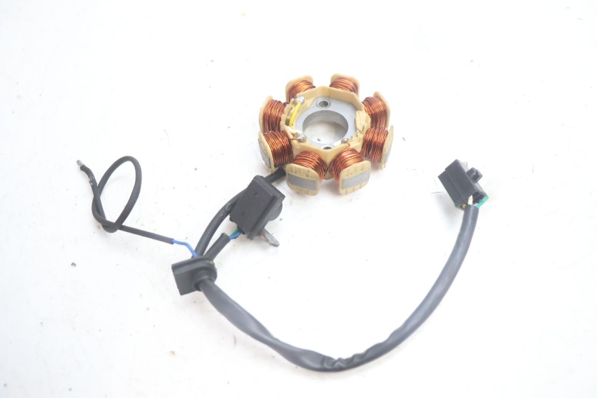 photo de ROTOR ESTATOR JM MOTORS EVOLIS 4T 50 (2018 - 2022) - Otra perspectiva