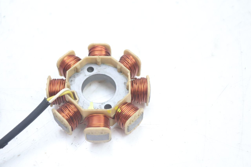 photo de ROTOR ESTATOR JM MOTORS EVOLIS 4T 50 (2018 - 2022) - Primer plano técnico