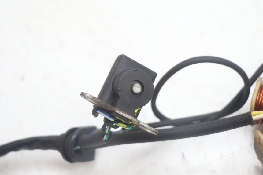 photo de ROTOR ESTATOR JM MOTORS EVOLIS 4T 50 (2018 - 2022) - Vista general del producto