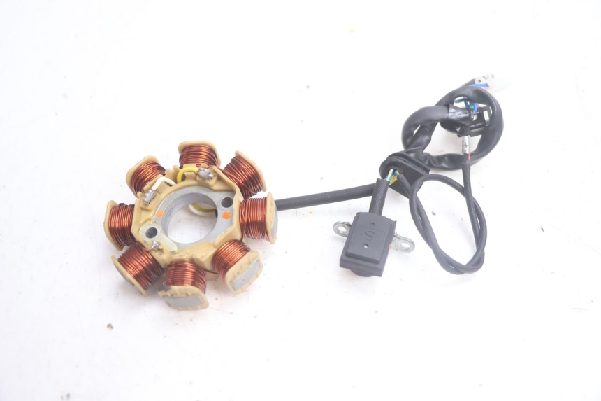 photo de ROTOR ESTATOR JM MOTORS EVOLIS 4T 50 (2018 - 2022) - Otra vista del artículo