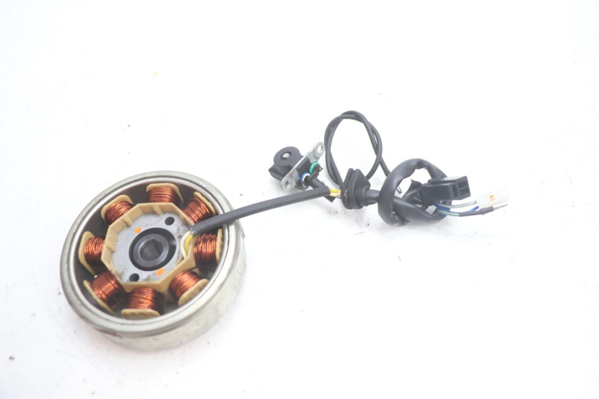 photo de ROTOR ESTATOR JM MOTORS EVOLIS 4T 50 (2018 - 2022) - Otra perspectiva