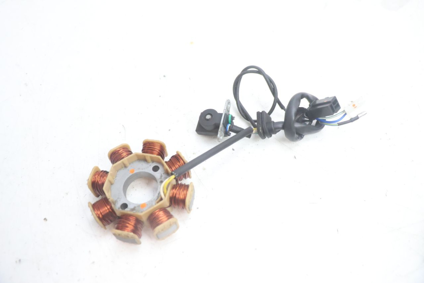 photo de ROTOR ESTATOR JM MOTORS EVOLIS 4T 50 (2018 - 2022) - Detalles de los puntos de fijación