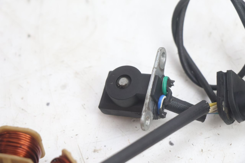 photo de ROTOR ESTATOR JM MOTORS EVOLIS 4T 50 (2018 - 2022) - Recambio usado revisado