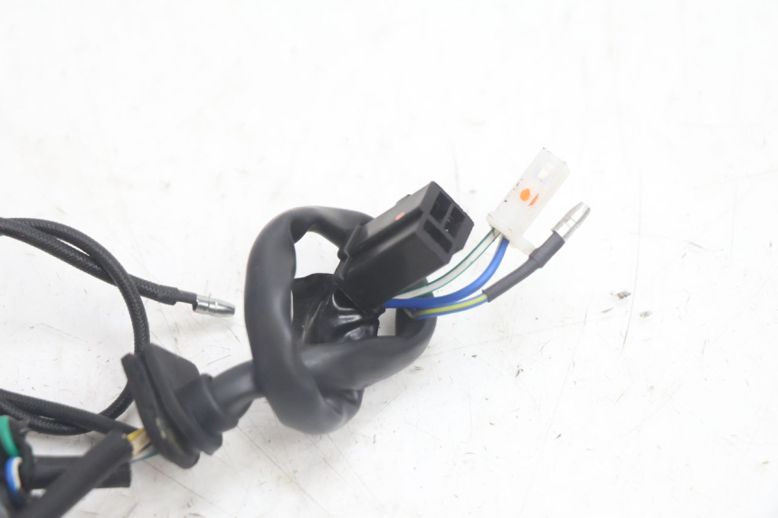 photo de ROTOR ESTATOR JM MOTORS EVOLIS 4T 50 (2018 - 2022) - Marcados y referencias originales