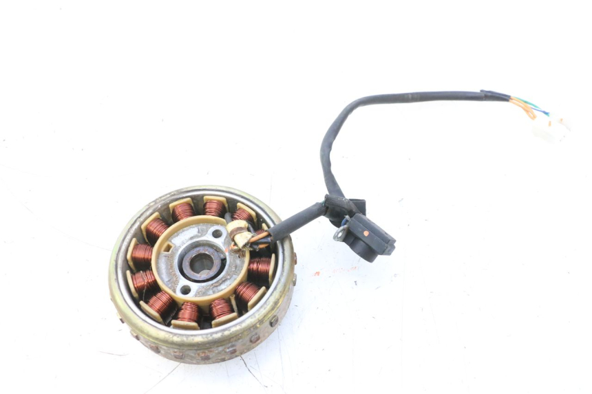 photo de ESTATOR JM MOTORS F45i 4T 50 (2020 - 2023) - Otra perspectiva