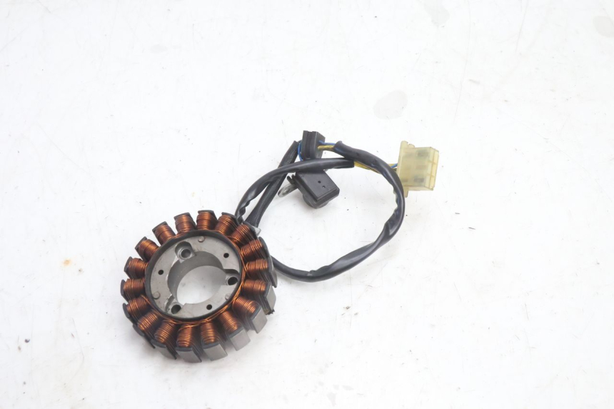 photo de ESTATOR HONDA FES PANTHEON 2T 125 (1998 - 2002) - Estado de la superficie y material